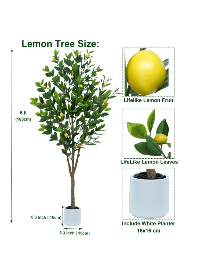 MirageBotanics Artificial Lemon Tree Indoor Outdoor Faux Lemon Plant With Realistic Fruits Includes Planter Pot 185cm - White